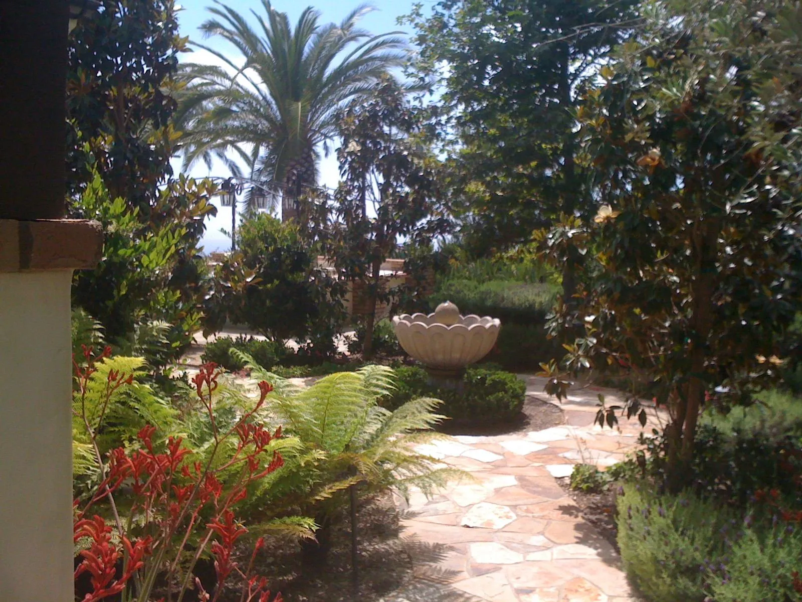 Hillside garden with stone steps