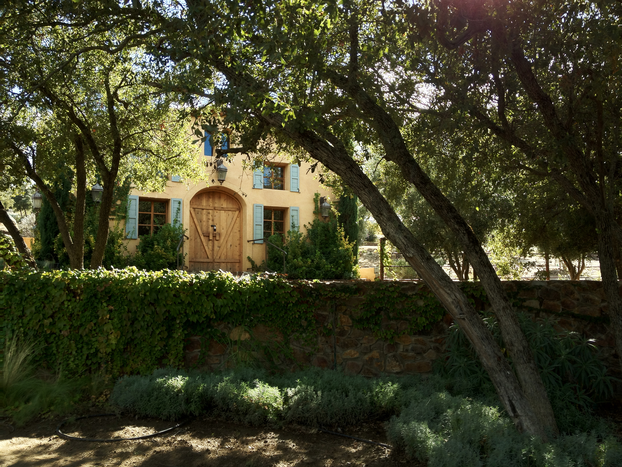 Milagro Farms stone pathways and vineyards