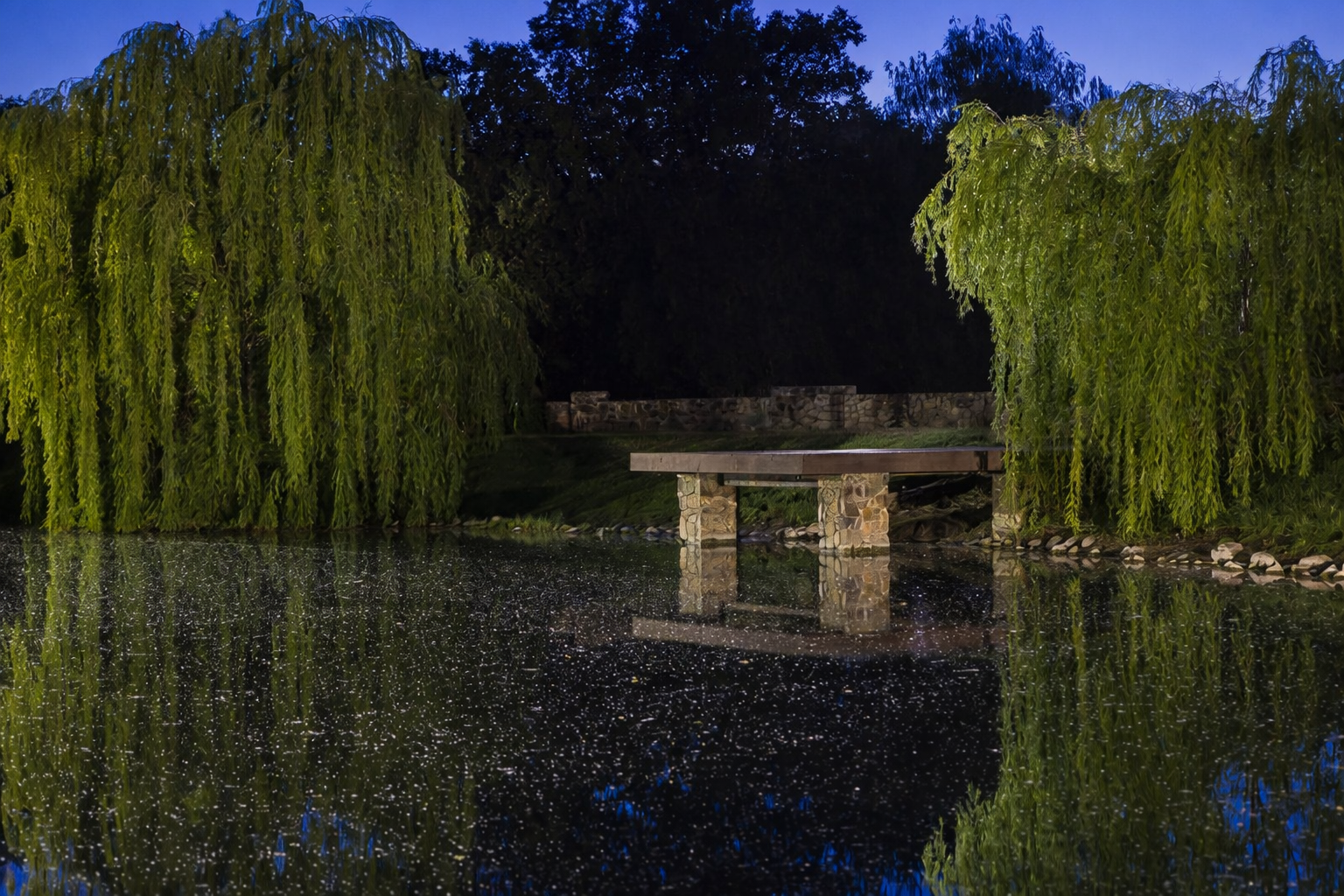 Milagro Farms Vineyard